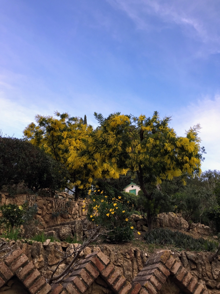 f:id:camecon:20170413083054j:plain f:id:camecon:20170413083054j:plain