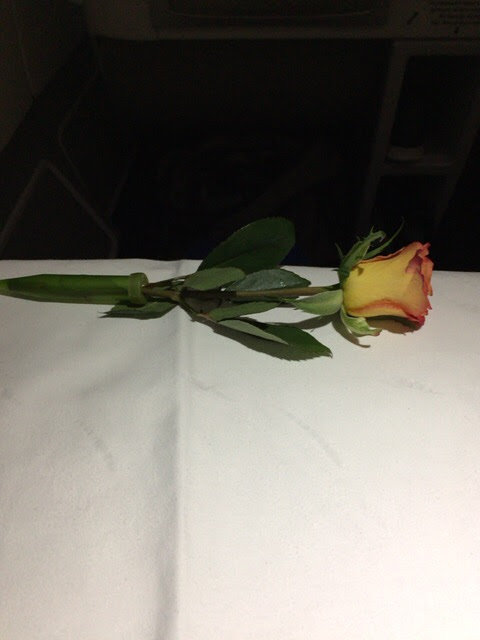 f:id:camecon:20170509182045j:plain f:id:camecon:20170509182045j:plain