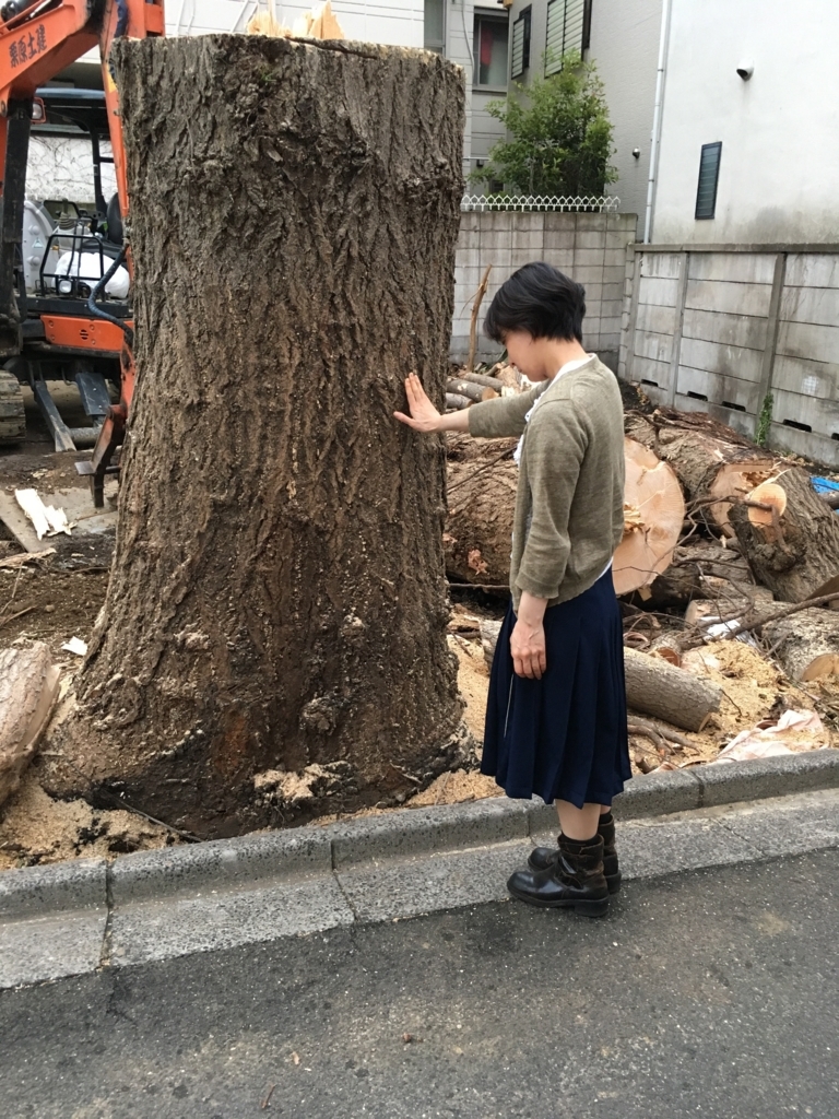 f:id:camecon:20170627142128j:plain