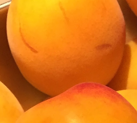 f:id:camecon:20170704210020j:plain f:id:camecon:20170704210020j:plain