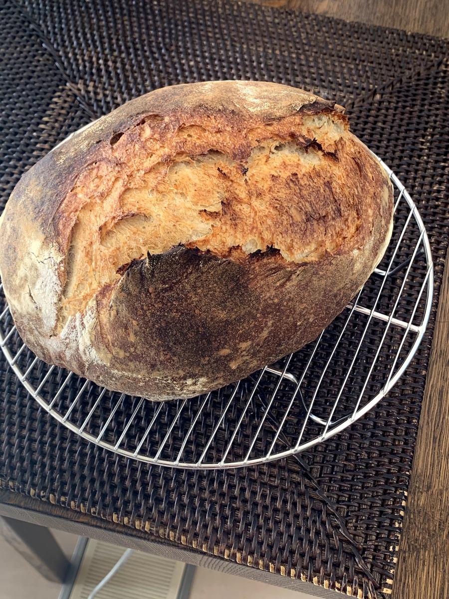 f:id:camecon:20210228102636j:plain