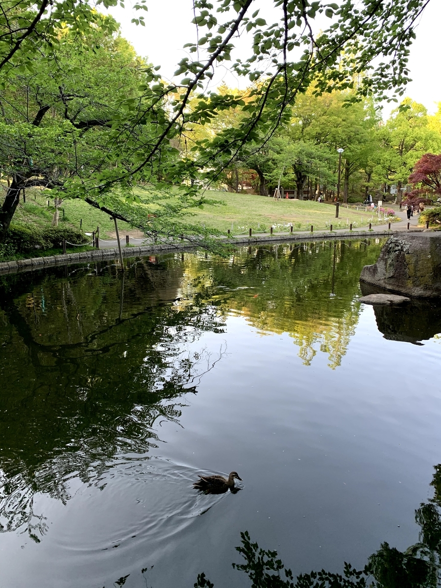 f:id:camecon:20210427093013j:plain