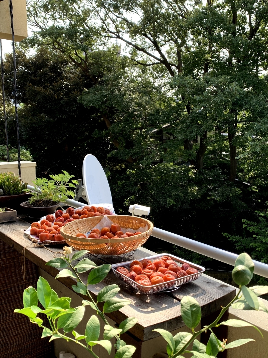 f:id:camecon:20210829110648j:plain