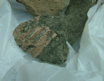 f:id:camelopardalis:20090507141045j:image