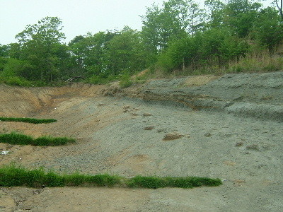 f:id:camelopardalis:20090507141046j:image