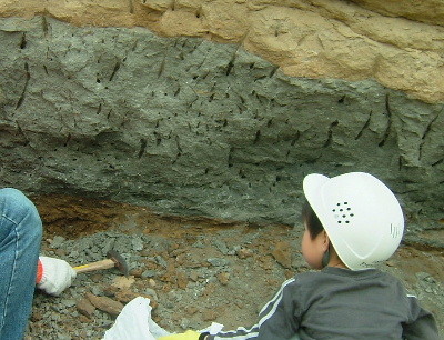f:id:camelopardalis:20090507141051j:image