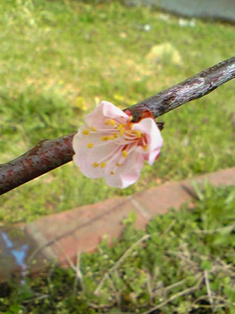 20130404104402