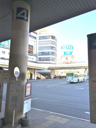 f:id:camelopardalis:20160211111225j:plain