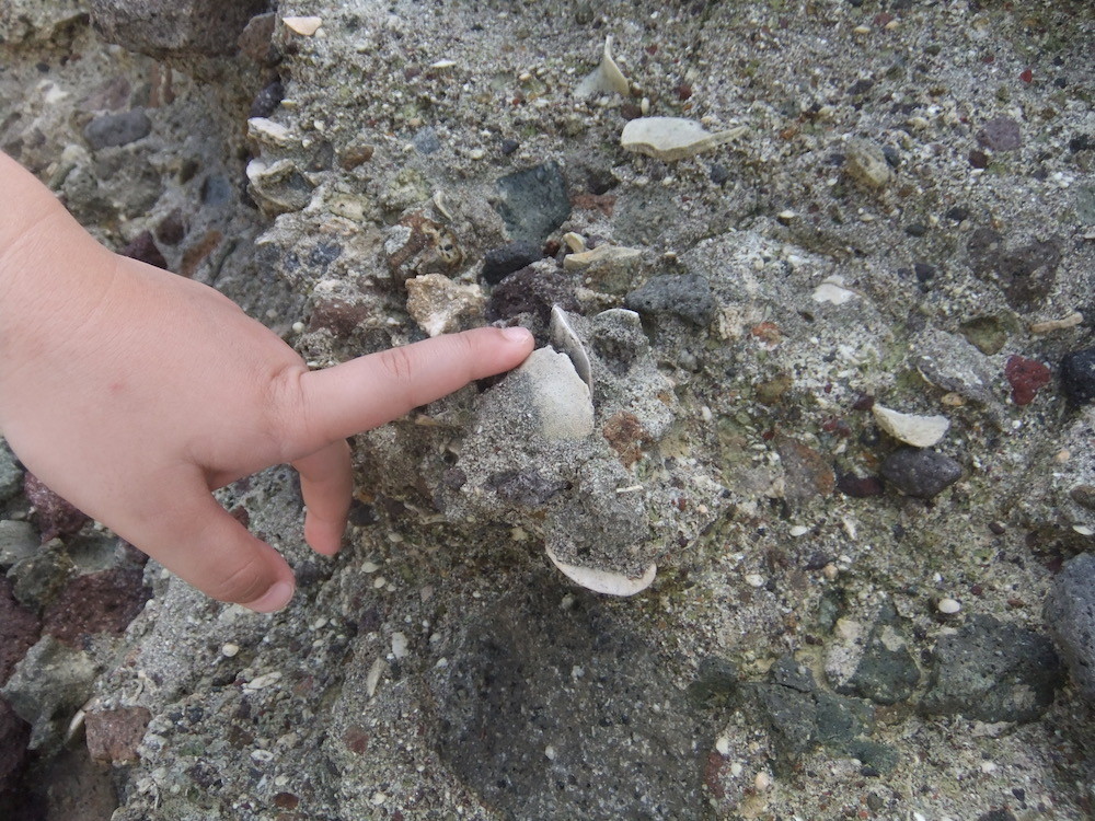 f:id:camelopardalis:20170523161005j:plain f:id:camelopardalis:20170523161005j:plain