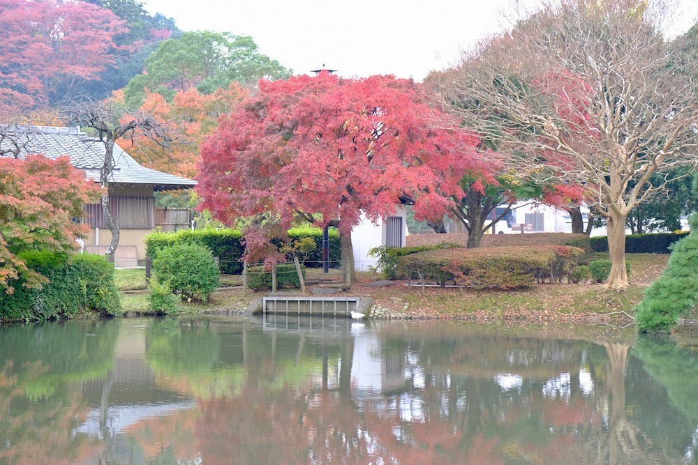 f:id:camelopardalis:20171114174436j:plain f:id:camelopardalis:20171114174436j:plain