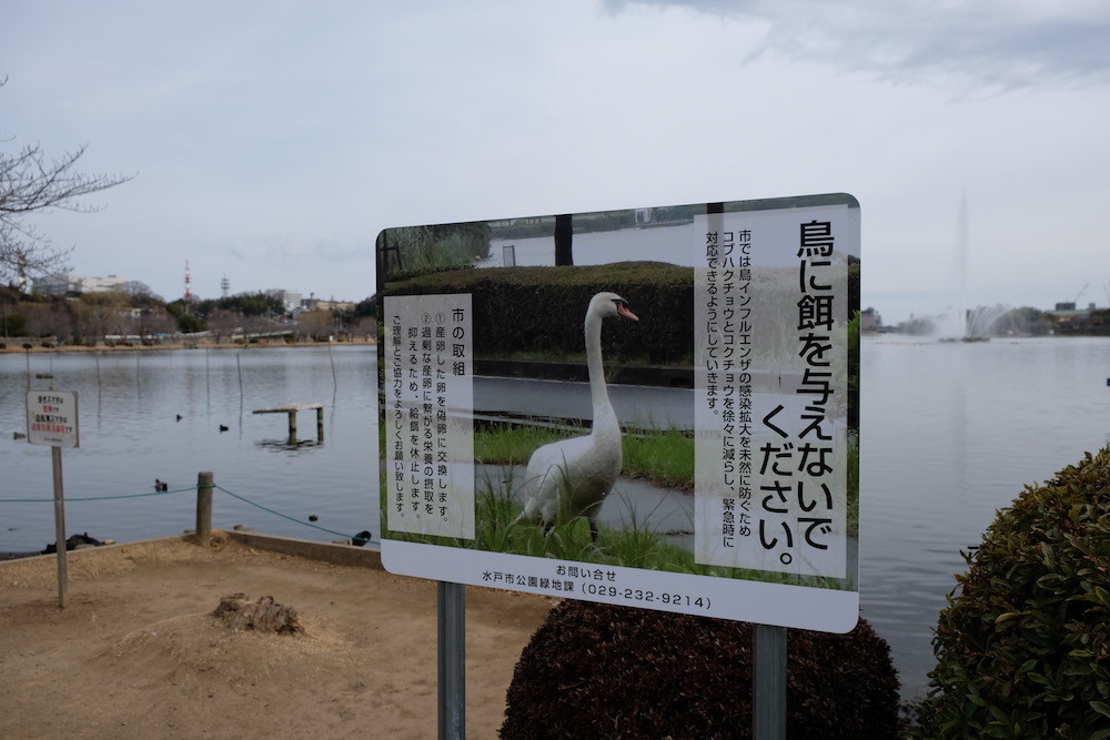 f:id:camelopardalis:20180301111544j:plain