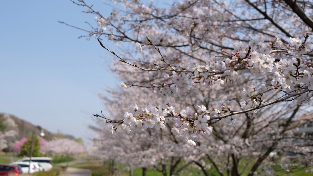 f:id:camelopardalis:20180418105803j:plain