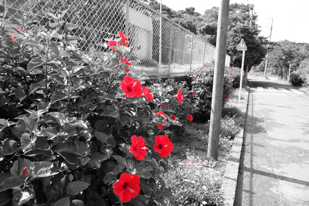 f:id:camelopardalis:20181024105527j:plain