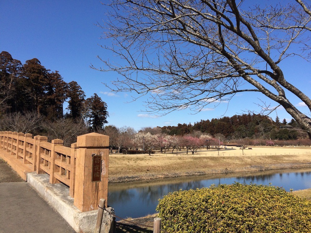 f:id:camelopardalis:20190305090310j:plain