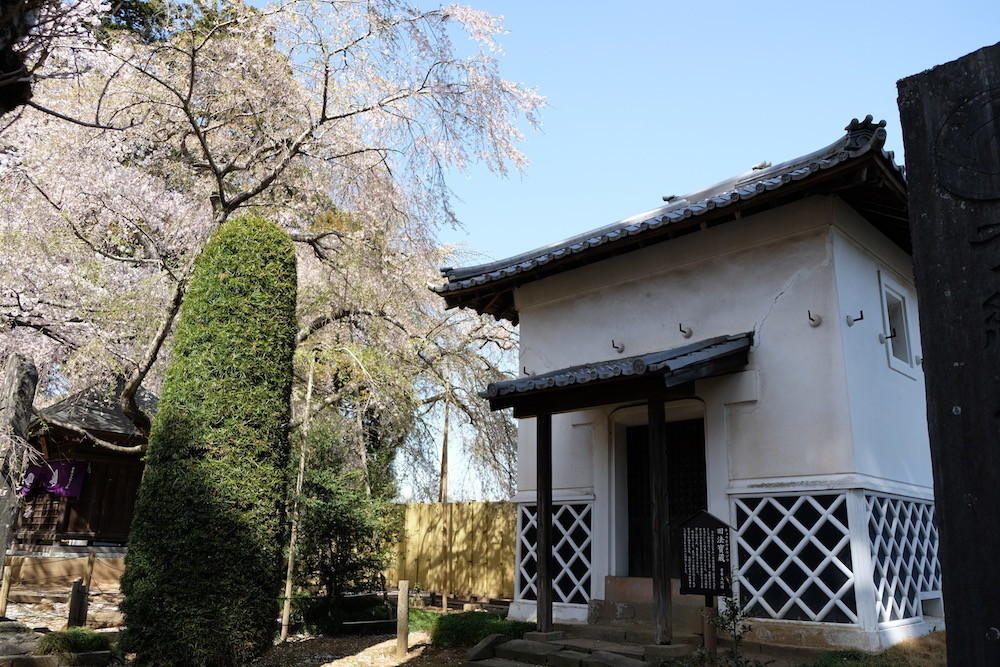 f:id:camelopardalis:20190408163231j:plain