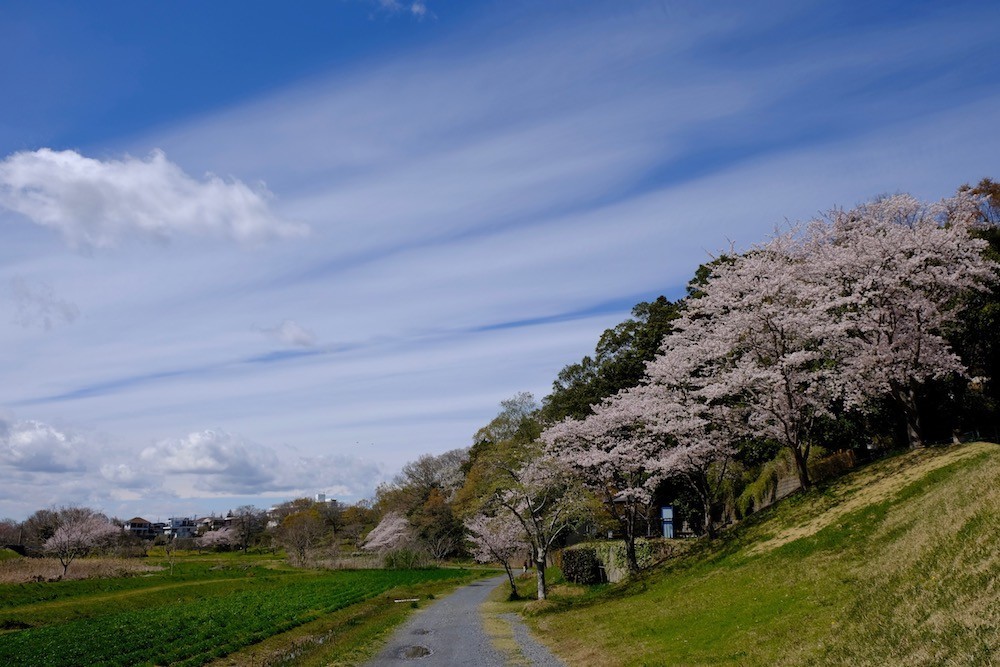 f:id:camelopardalis:20190416122250j:plain