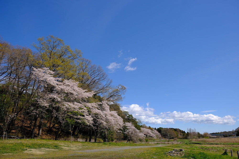 f:id:camelopardalis:20190416122724j:plain