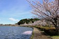 20190416124340