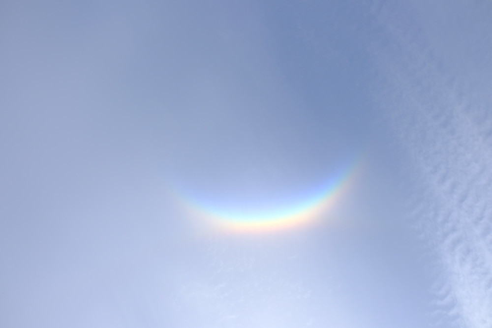 f:id:camelopardalis:20190509082421j:plain f:id:camelopardalis:20190509082421j:plain