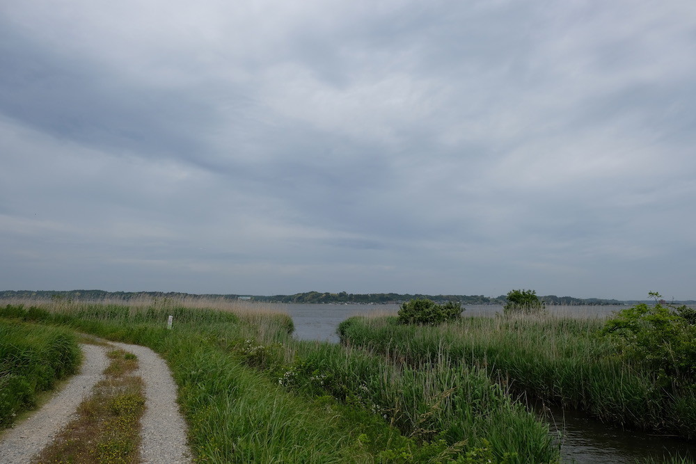 f:id:camelopardalis:20190605163231j:plain