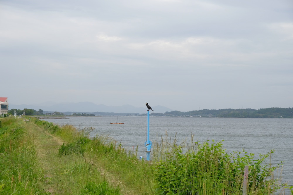 f:id:camelopardalis:20190605163419j:plain