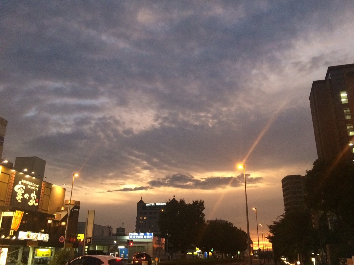 f:id:camelopardalis:20190831212827j:plain