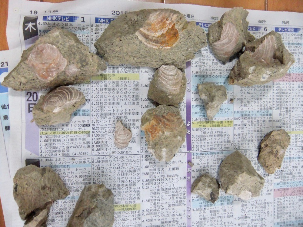 f:id:camelopardalis:20190904095323j:plain f:id:camelopardalis:20190904095323j:plain