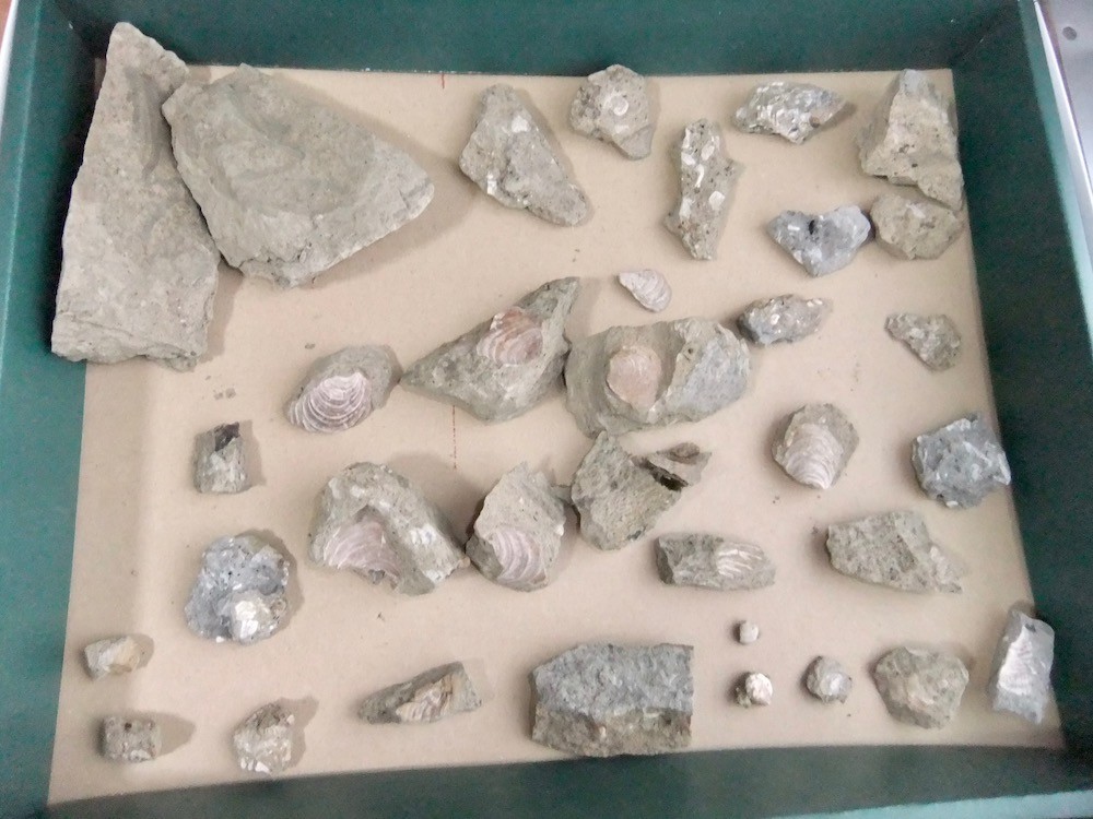f:id:camelopardalis:20190904095337j:plain f:id:camelopardalis:20190904095337j:plain