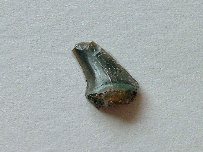 f:id:camelopardalis:20190904104337j:plain f:id:camelopardalis:20190904104337j:plain