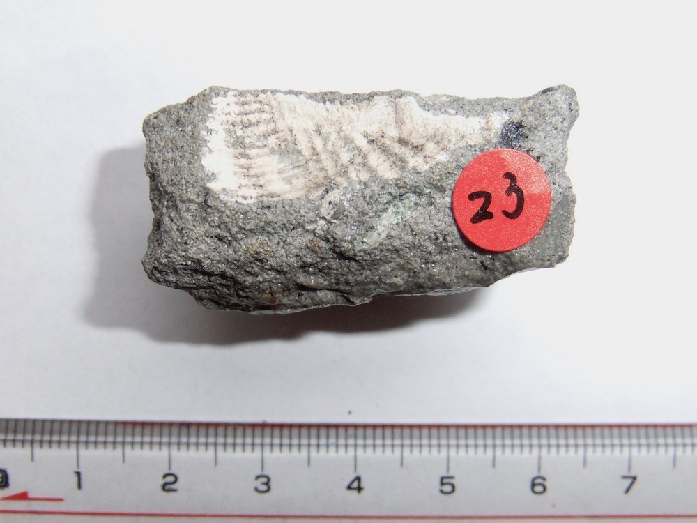 f:id:camelopardalis:20190904112350j:plain f:id:camelopardalis:20190904112350j:plain