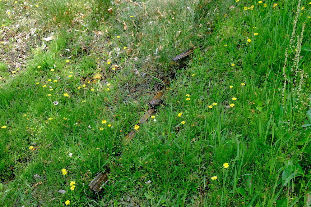 f:id:camelopardalis:20200501164945j:plain f:id:camelopardalis:20200501164945j:plain