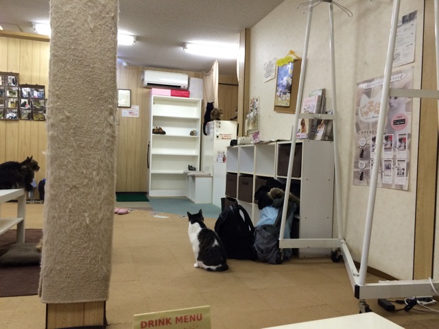 f:id:camelstation:20150223015630j:plain f:id:camelstation:20150223015630j:plain