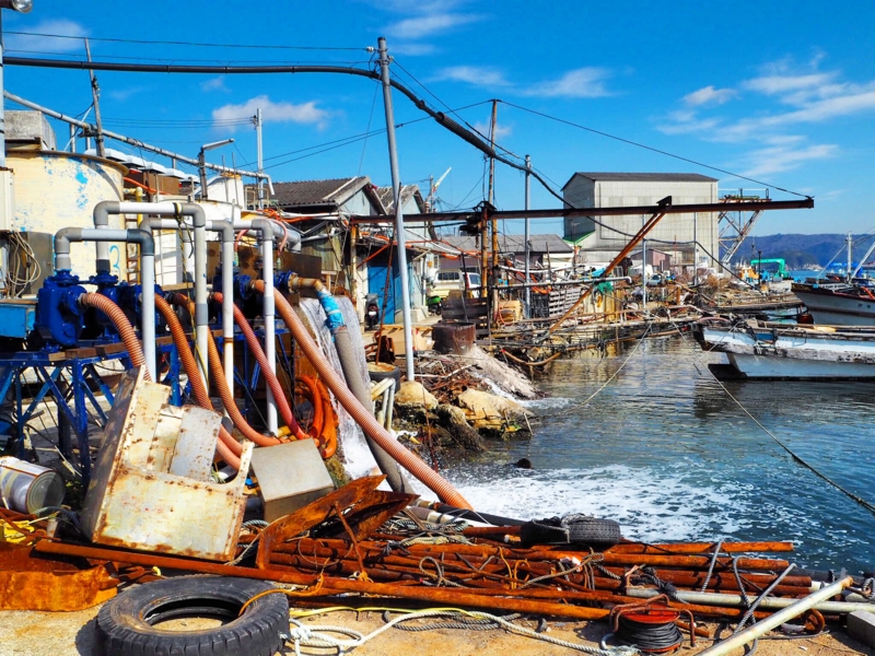 f:id:camelstation:20160221043459j:plain f:id:camelstation:20160221043459j:plain