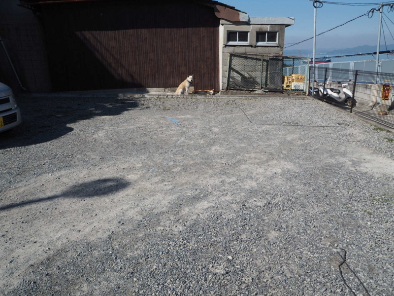 f:id:camelstation:20160224132328j:plain f:id:camelstation:20160224132328j:plain