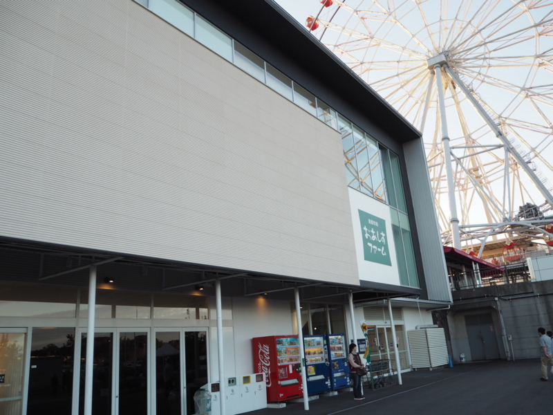 f:id:camelstation:20161107122947j:plain