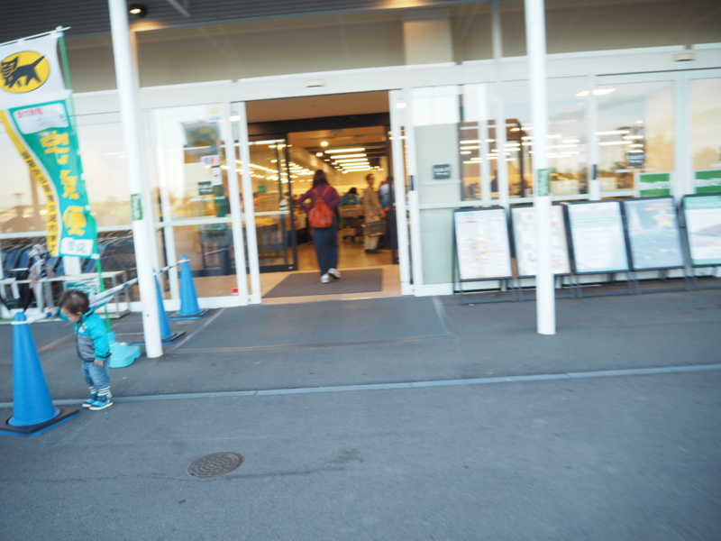 f:id:camelstation:20161107122948j:plain