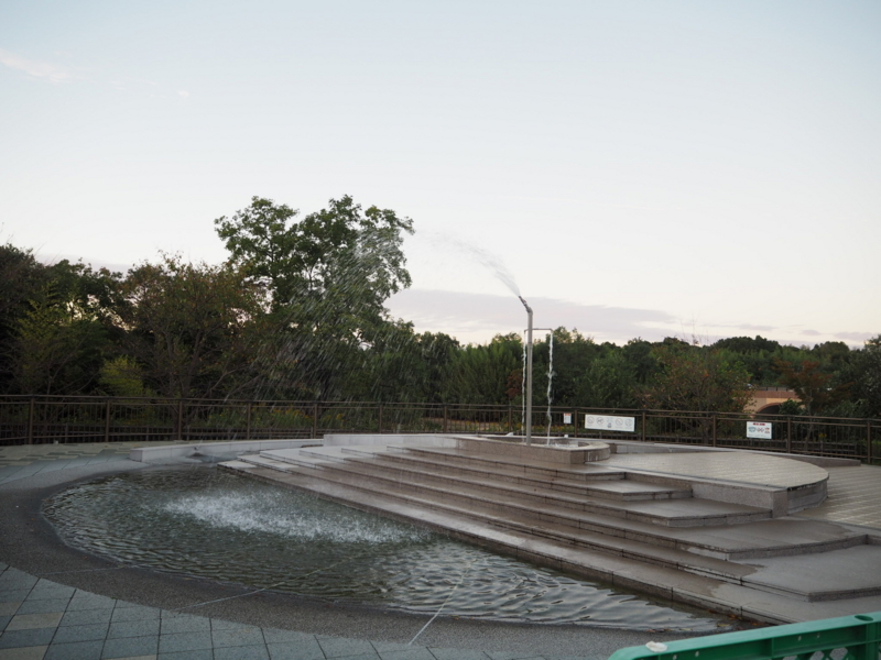 f:id:camelstation:20161107123015j:plain