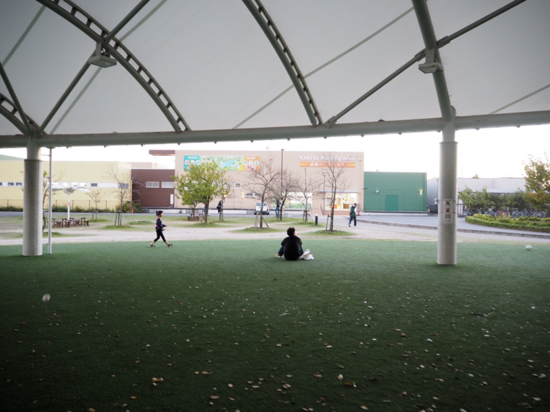 f:id:camelstation:20161107123025j:plain