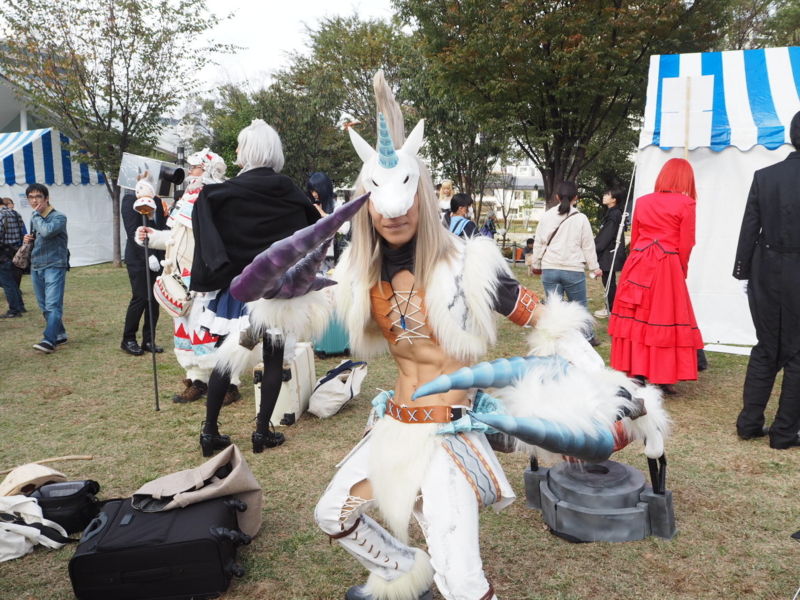 f:id:camelstation:20161116131241j:plain f:id:camelstation:20161116131241j:plain