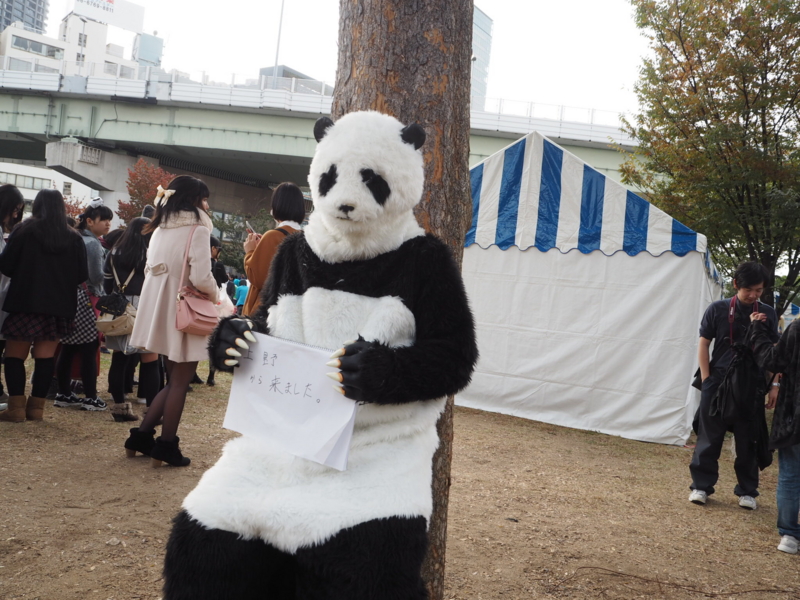 f:id:camelstation:20161116131343j:plain f:id:camelstation:20161116131343j:plain
