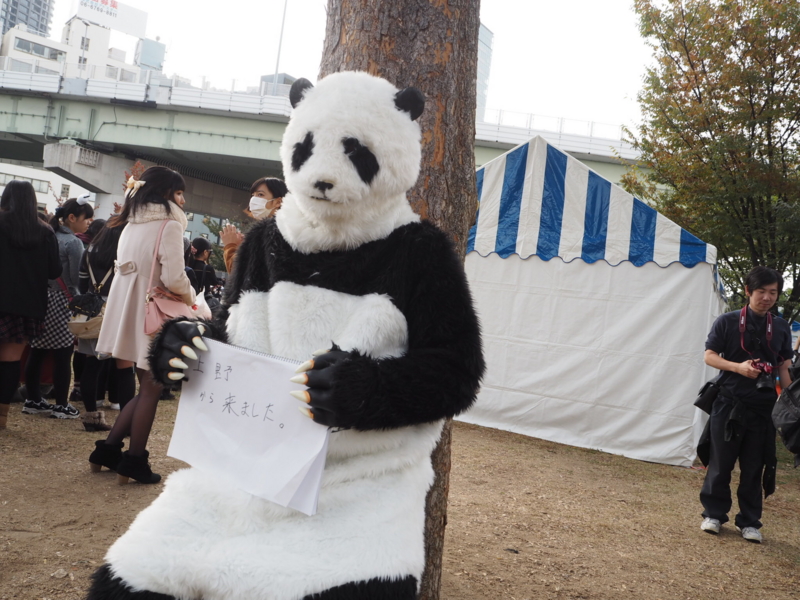 f:id:camelstation:20161116131344j:plain f:id:camelstation:20161116131344j:plain
