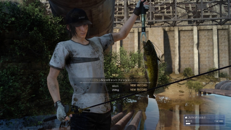 f:id:camelstation:20161117141815j:plain