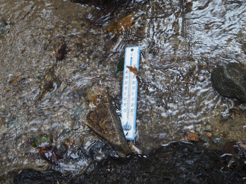 f:id:camelstation:20170122161850j:plain