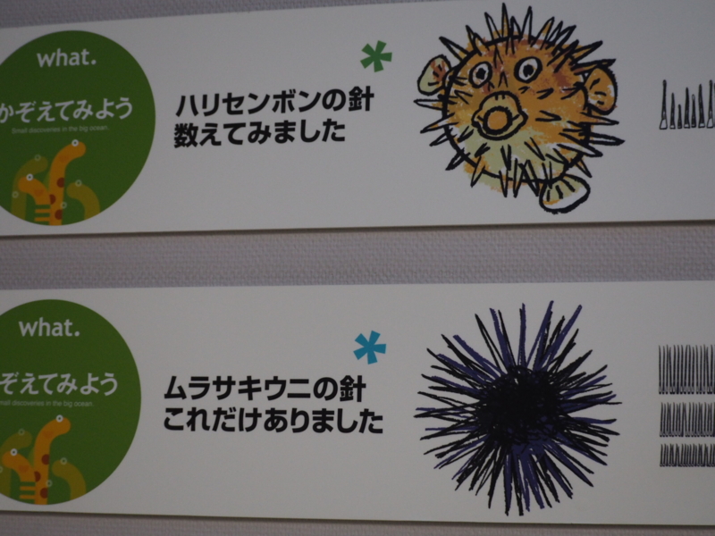 f:id:camelstation:20170221084549j:plain