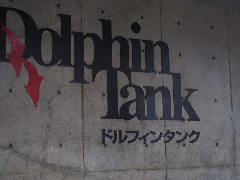 f:id:camelstation:20170221084920j:plain