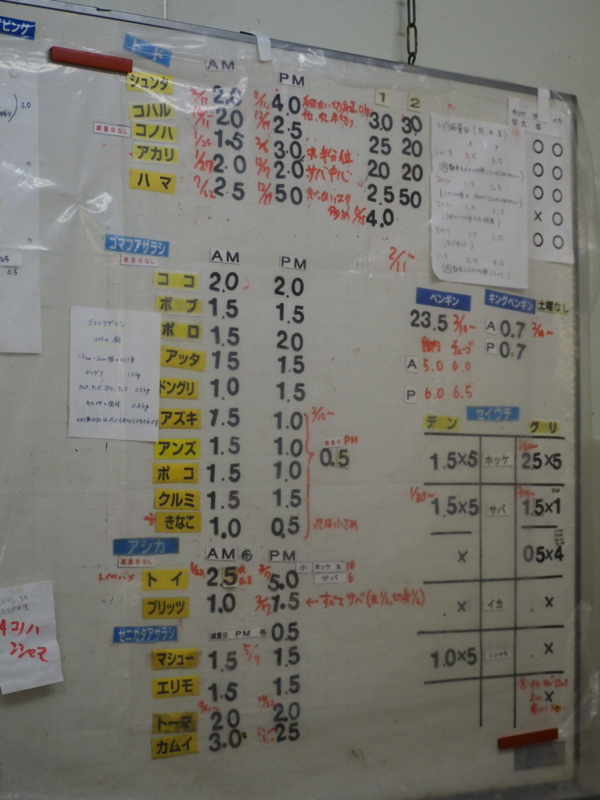 f:id:camelstation:20170221084930j:plain