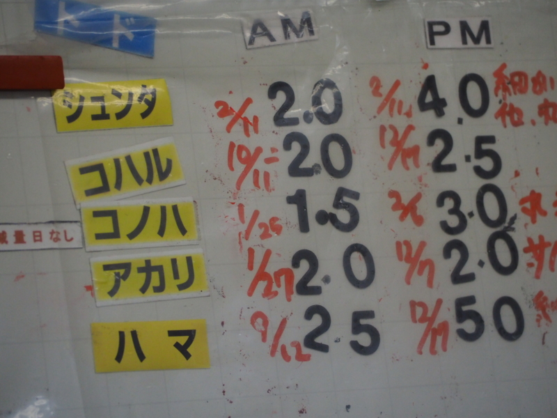 f:id:camelstation:20170221084933j:plain