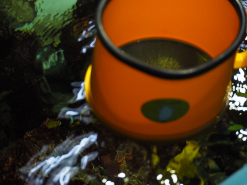 f:id:camelstation:20170221084940j:plain