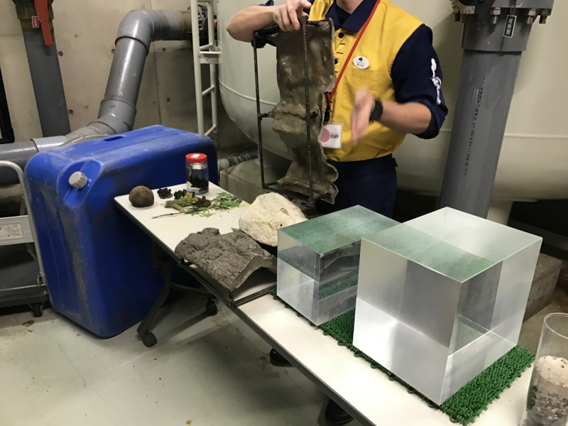 f:id:camelstation:20170221085028j:plain