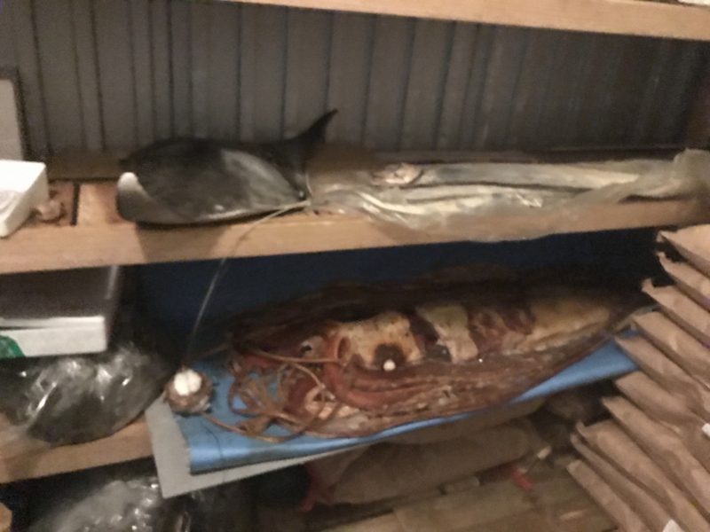 f:id:camelstation:20170221085042j:plain